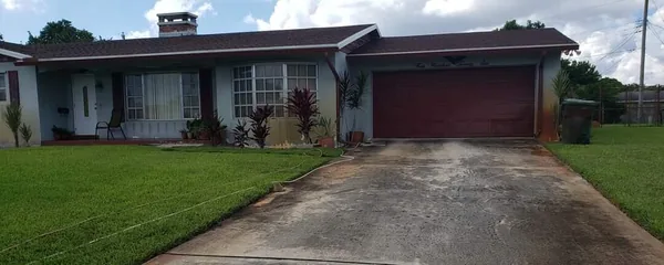 Driveway before: dark and streaked with mildew