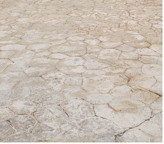 Stamped concrete pavers after cleaning